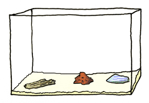 mettre le sable dans l'aquarium
