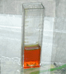 nitrite test