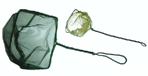 �puisettes