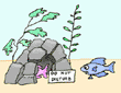poisson cach�