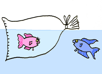 introduire un nouveau poisson