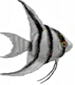 scalaire